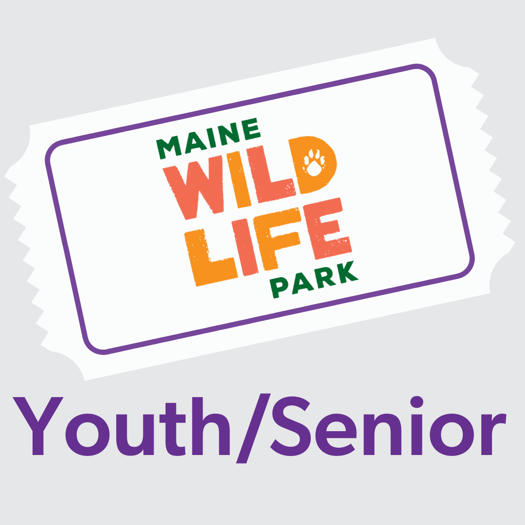 One Day Pass - Youth/Senior